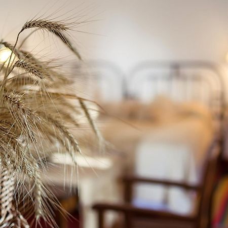 Finca Las Margaritas Chicoana ห้อง รูปภาพ