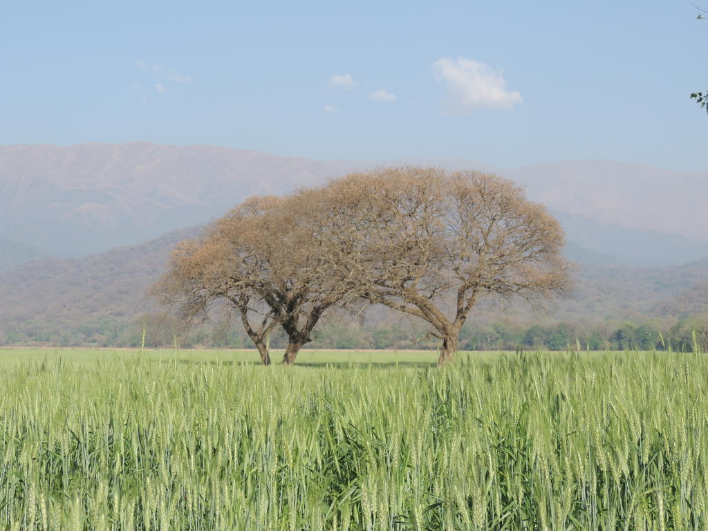 Finca Las Margaritas Chicoana ภายนอก รูปภาพ