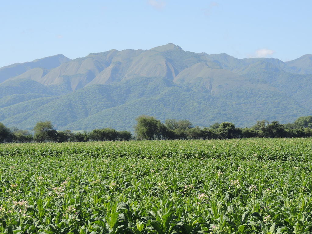Finca Las Margaritas Chicoana ภายนอก รูปภาพ